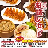 【工場直送】 大阪ふくちぁん餃子オンラインストア限定！《お試しセット》　【送料無料】　※お一人様1セット限り