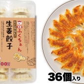 【工場直送】生姜餃子 36個入 にんにくなし [通販]