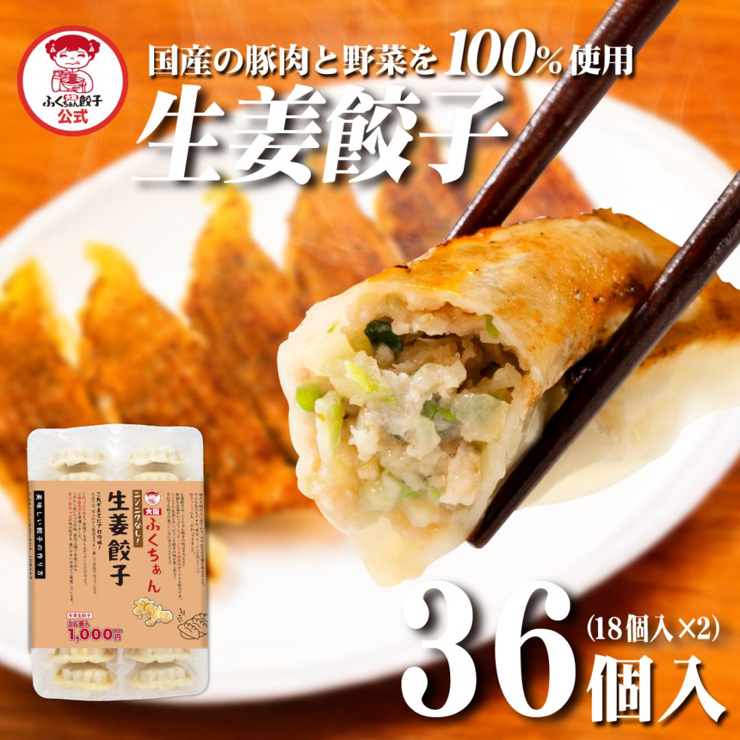 【工場直送】生姜餃子 36個入 にんにくなし [通販]
