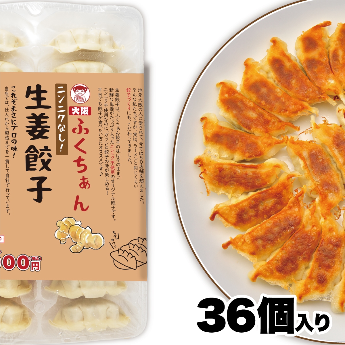 【工場直送】生姜餃子 36個入 にんにくなし [通販]