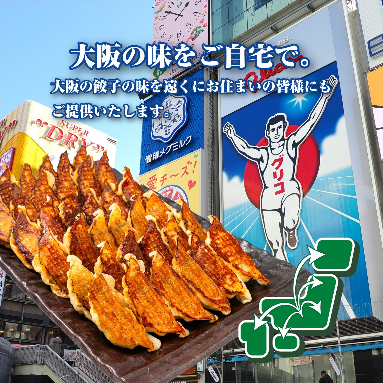 【工場直送】生姜餃子 36個入 にんにくなし [通販]