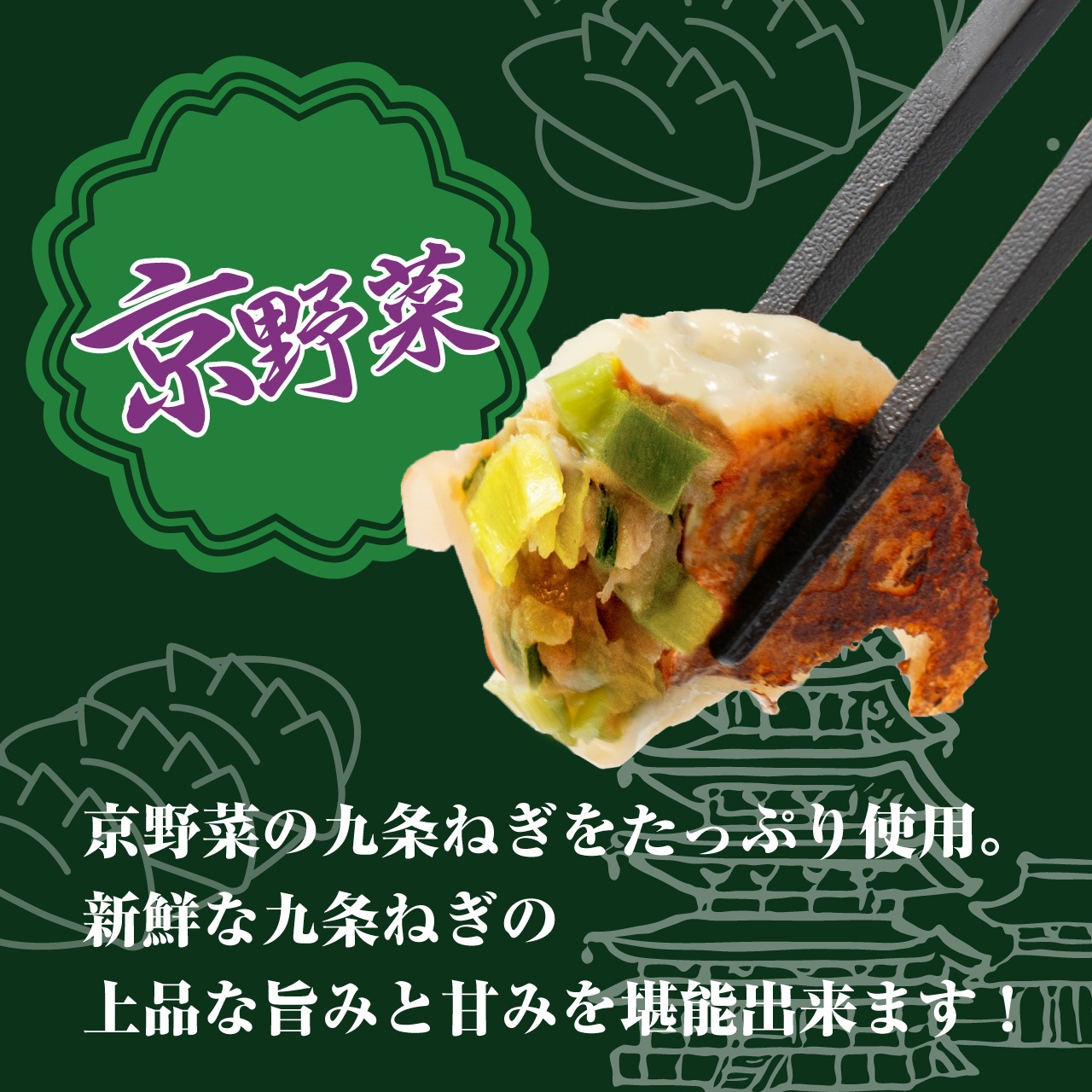 【工場直送】九条ねぎ餃子 36個入 [通販]