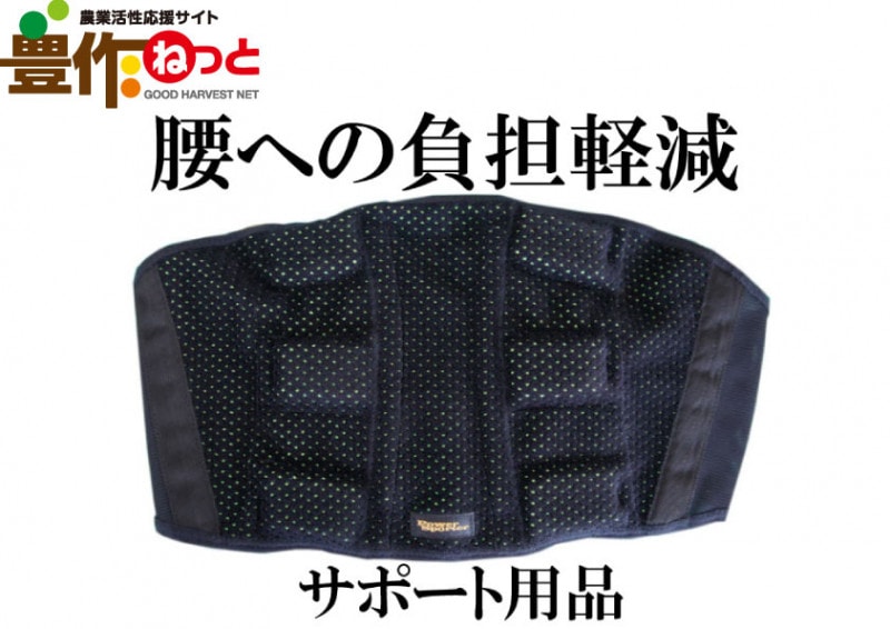 �ۥ����ġ��ѥ���ݡ������ʹ��ѡ�L������(����,����,�����α��º�ȸ���)