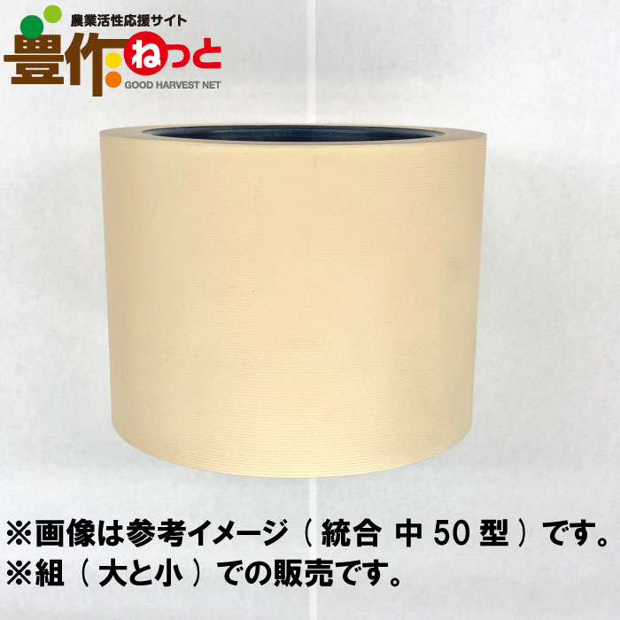 ⥴ ߤ롡𥻥۷ 50(Ⱦ)̾롡