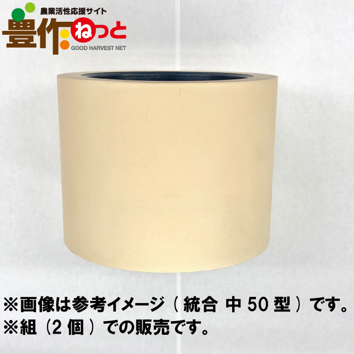 ���⥴�� ��ߤ�������롡���ޡ�25��2�ĥ��åȡ��̾�����롡������