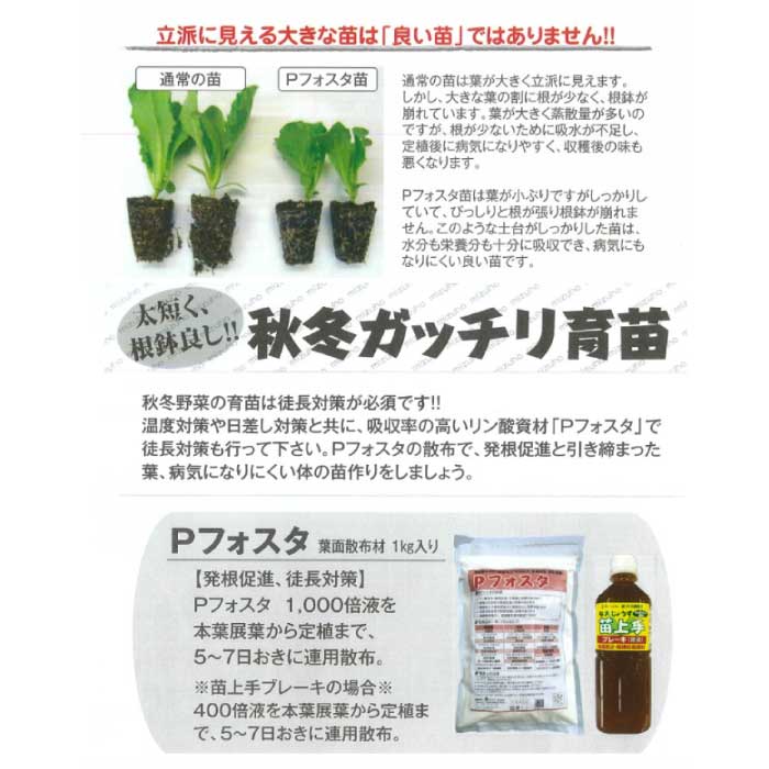 即納可】ミズホ 葉面散布材 Pフォスタ 1kg 【Mリン】 | 育苗資材類