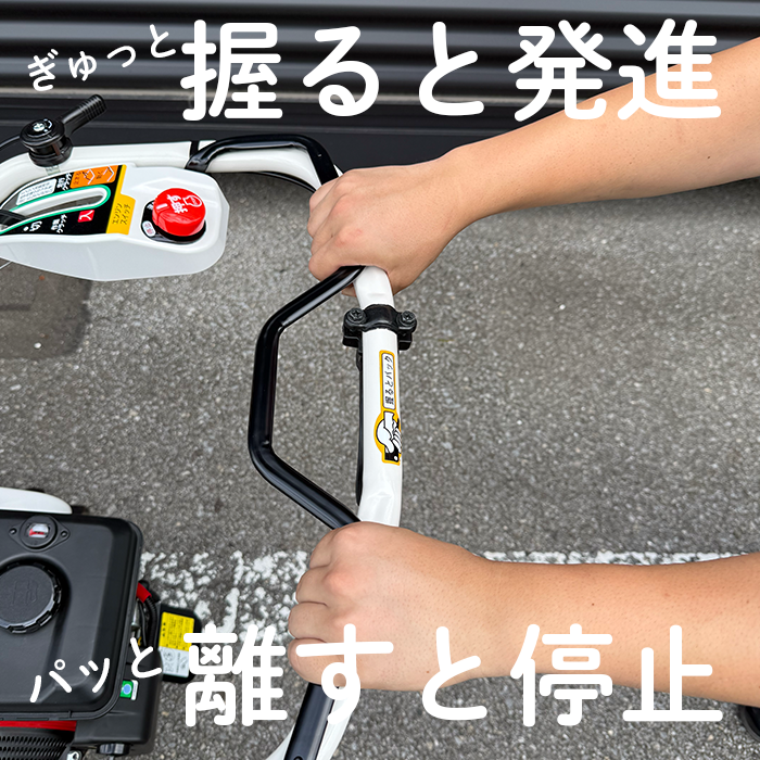 ޡѥȥϥޡ⥢YW490H,Eڥ󥸥 𴢵 𴢵  𴢵 𴢤굡𴢤 ϥޡʥ ϥޡʥե⥢  ѥȡ