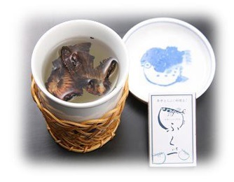 �ܾ����դ��ɡ��դ��饻�å�4��5����(����)��12��������ʸ������ȯ����