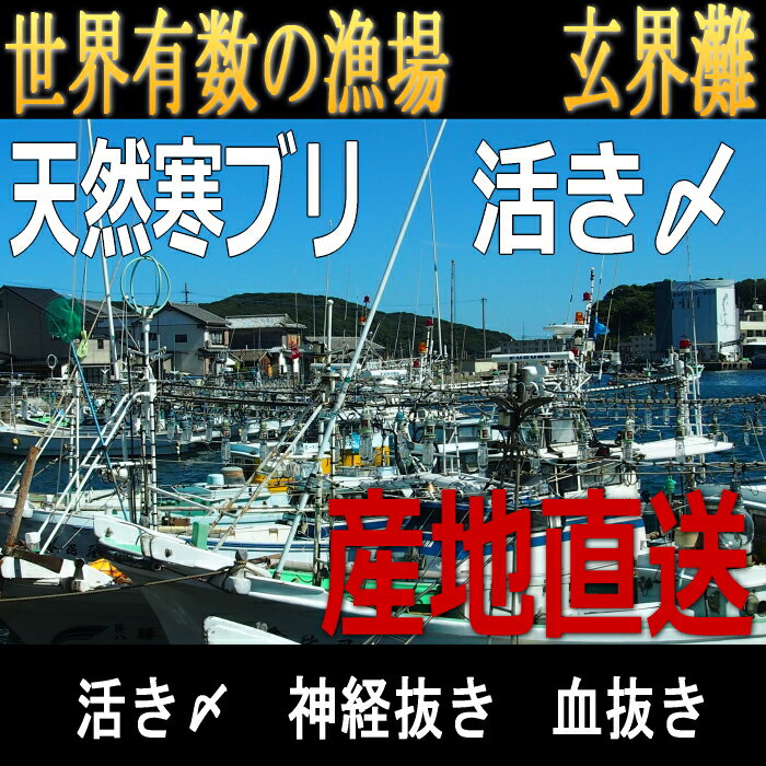 ŷ�� ���֥� �ǥ֥� Ĺ�긩������ 7kg��7.9kg