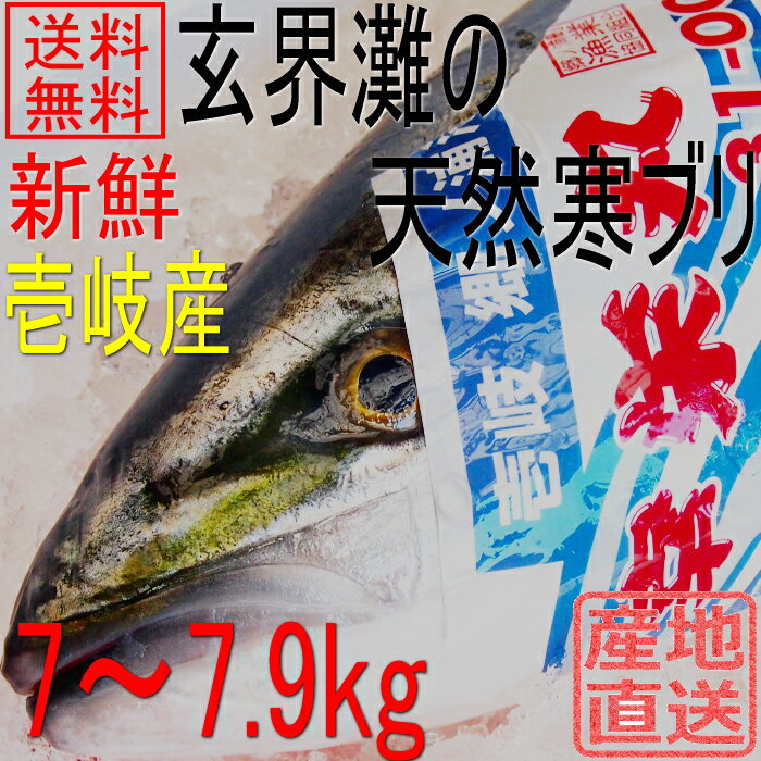 ŷ�� ���֥� �ǥ֥� Ĺ�긩������ 7kg��7.9kg