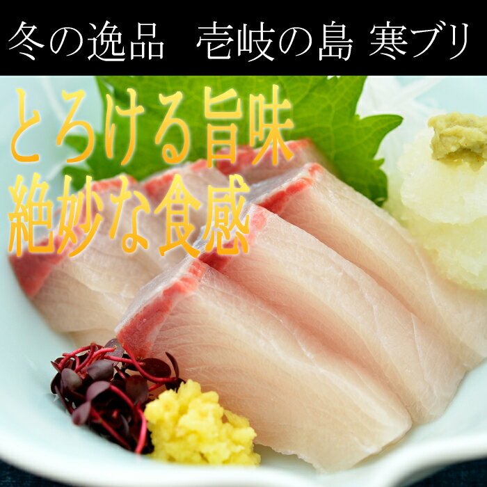 ŷ�� ���֥� �ǥ֥� Ĺ�긩������ 9kg��9.9kg