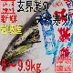 ŷ�� ���֥� �ǥ֥� Ĺ�긩������ 9kg��9.9kg
