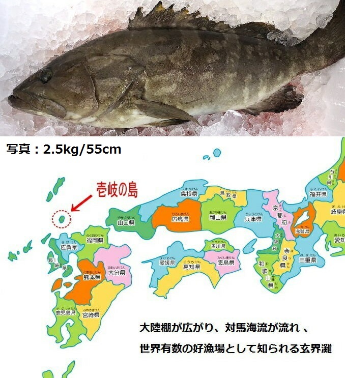 ŷ�� �����饻�åȡ������� 1.2�������å�/5��6������
