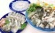 ŷ�� �����饻�åȡ������� 1.2�������å�/5��6������