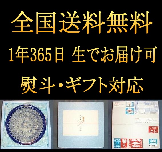 դȤդ楻å45¢ء̵ǯǯϤͽ桦糢ö