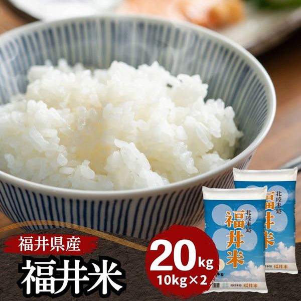 【白米20kg】まぁ！ 楽天市場】米 白米 玄米 20kg 送料無料 くまさんの輝き 熊本県産 令和7