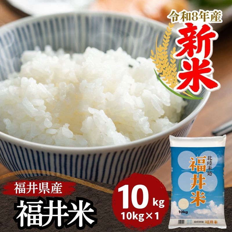 ���� ʡ���� ���� 10kg ʡ�温����100��֥����� ����8ǯ��