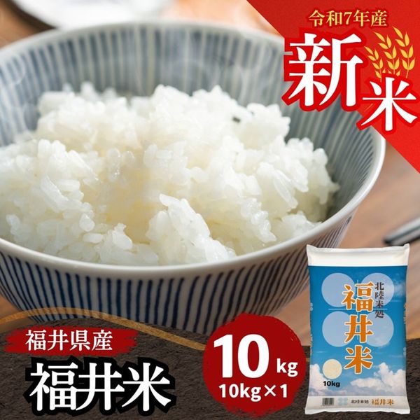 ブレンド精米  (令和５年産)       24Kg R6年産 長浜市高月産コシヒカリ琵琶の淡（ビワノウミ）無洗米/上