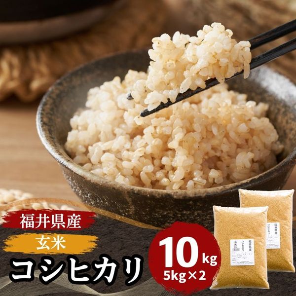 玄米 コシヒカリ 15kg(5kg×3) 福井県産 令和7年産｜玄米 |｜最短即日