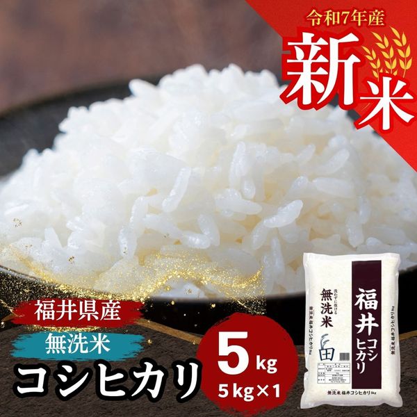 福井県産コシヒカリ 新米】無洗米コシヒカリ5Kg＿福井県産＜令和7年産＞: 越前わかさ