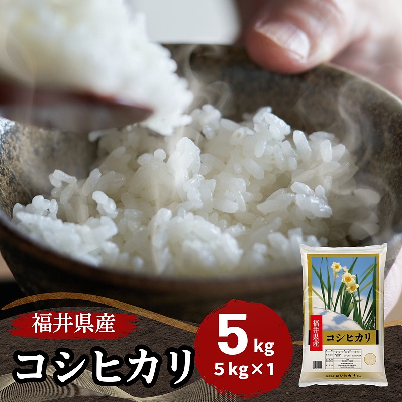福井県産コシヒカリ 白米 5kg 令和7年産｜福井県産コシヒカリ |｜最短