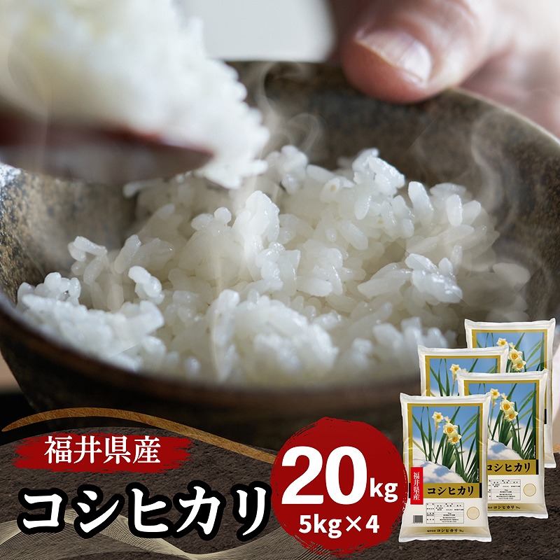 福井県産コシヒカリ 白米 20kg(5kg×4) 令和7年産｜福井県産コシヒカリ