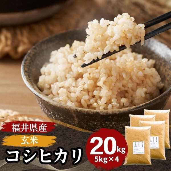 玄米 コシヒカリ 10kg(5kg×2) 福井県産 令和7年産｜玄米 |｜最短即日