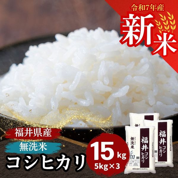 新米 福井県産コシヒカリ 無洗米 10kg(5kg×2) 令和7年産｜無洗米