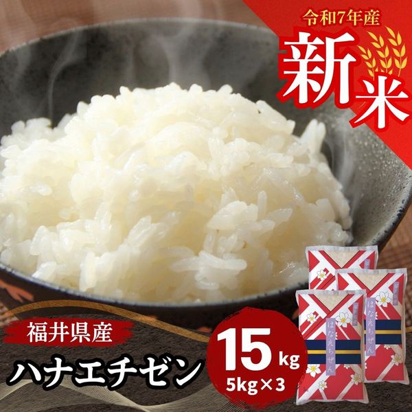 米 20kg 越前産 コシヒカリ 米 20kg 新潟産コシヒカリ （無洗米） お米 20キロ