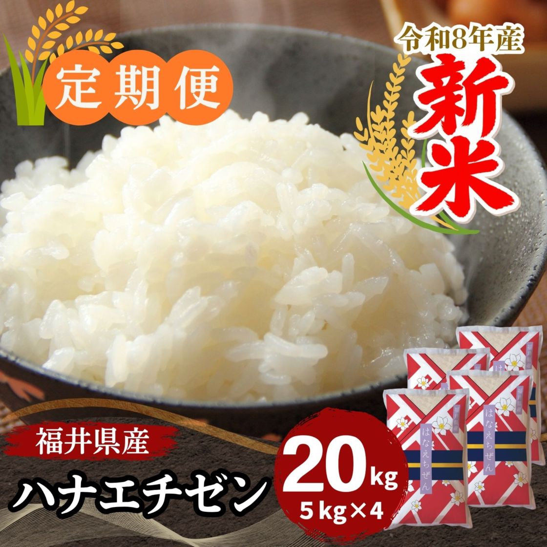 定期便】ハナエチゼン 白米 20kg(5kg×4) 福井県産｜安くて美味しい！米