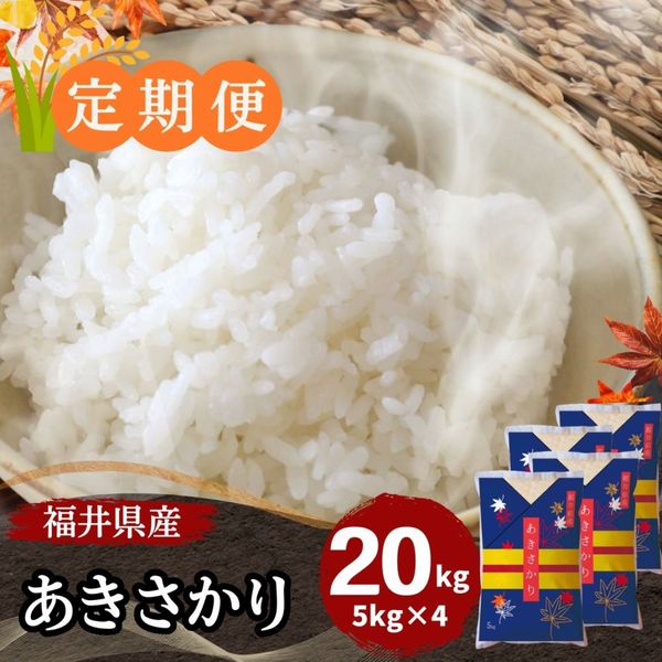 ������ءۤ��������� ���� 20kg(5kg��4) ʡ�温����