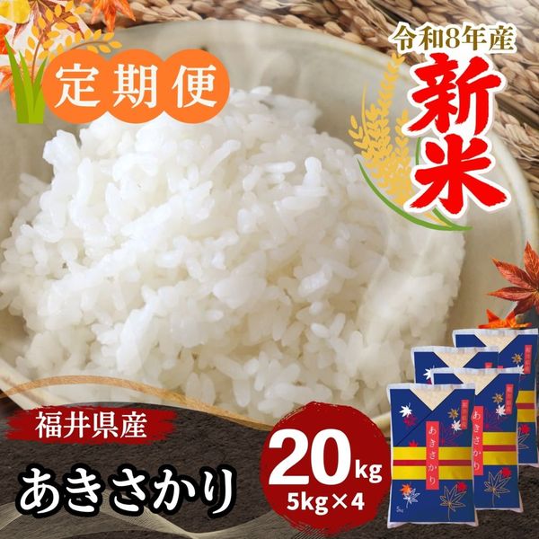 ������ءۤ��������� ���� 20kg(5kg��4) ʡ�温����