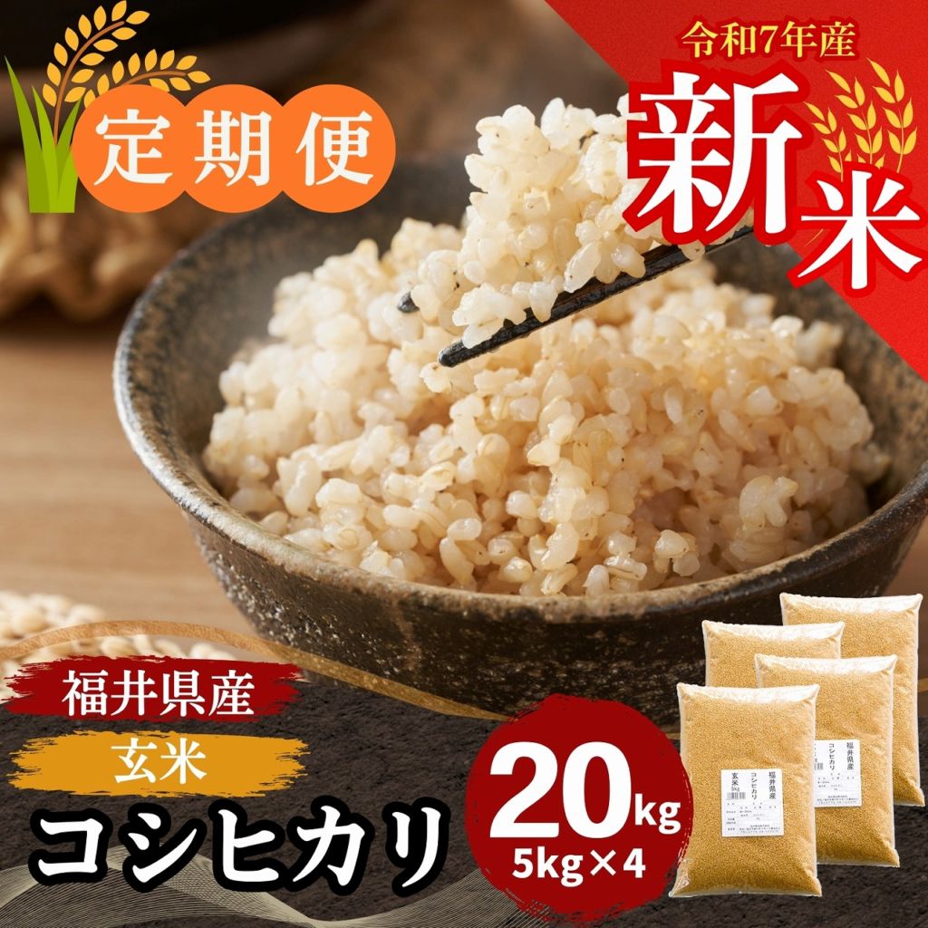定期便】玄米 コシヒカリ 20kg(5kg×4) 福井県産｜安くて美味しい！米の