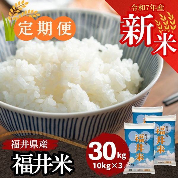 白米【まとめ買い割引】 コシヒカリ 【9月お買い得品☆11時までのご注文で即日発送!!】米