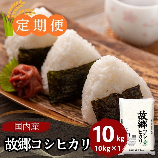 ������ء۸ζ������ҥ��� ���� 10kg ���⻺