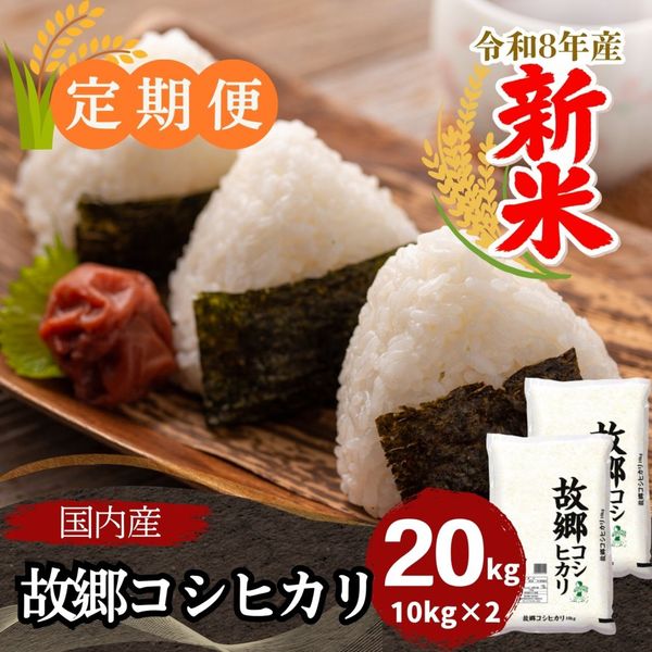 ������ء۸ζ������ҥ��� ���� 20kg(10kg��2) ���⻺