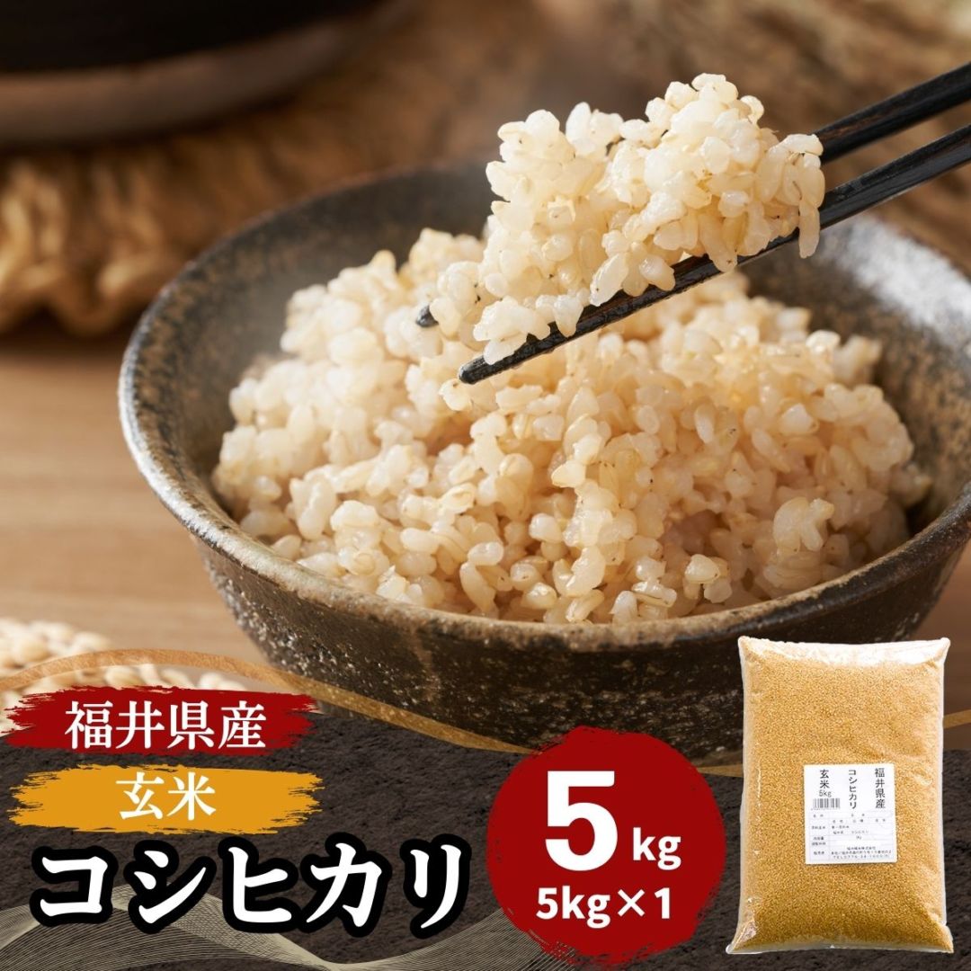 玄米 コシヒカリ 5kg 福井県産 令和7年産｜玄米 |｜最短即日発送、全国