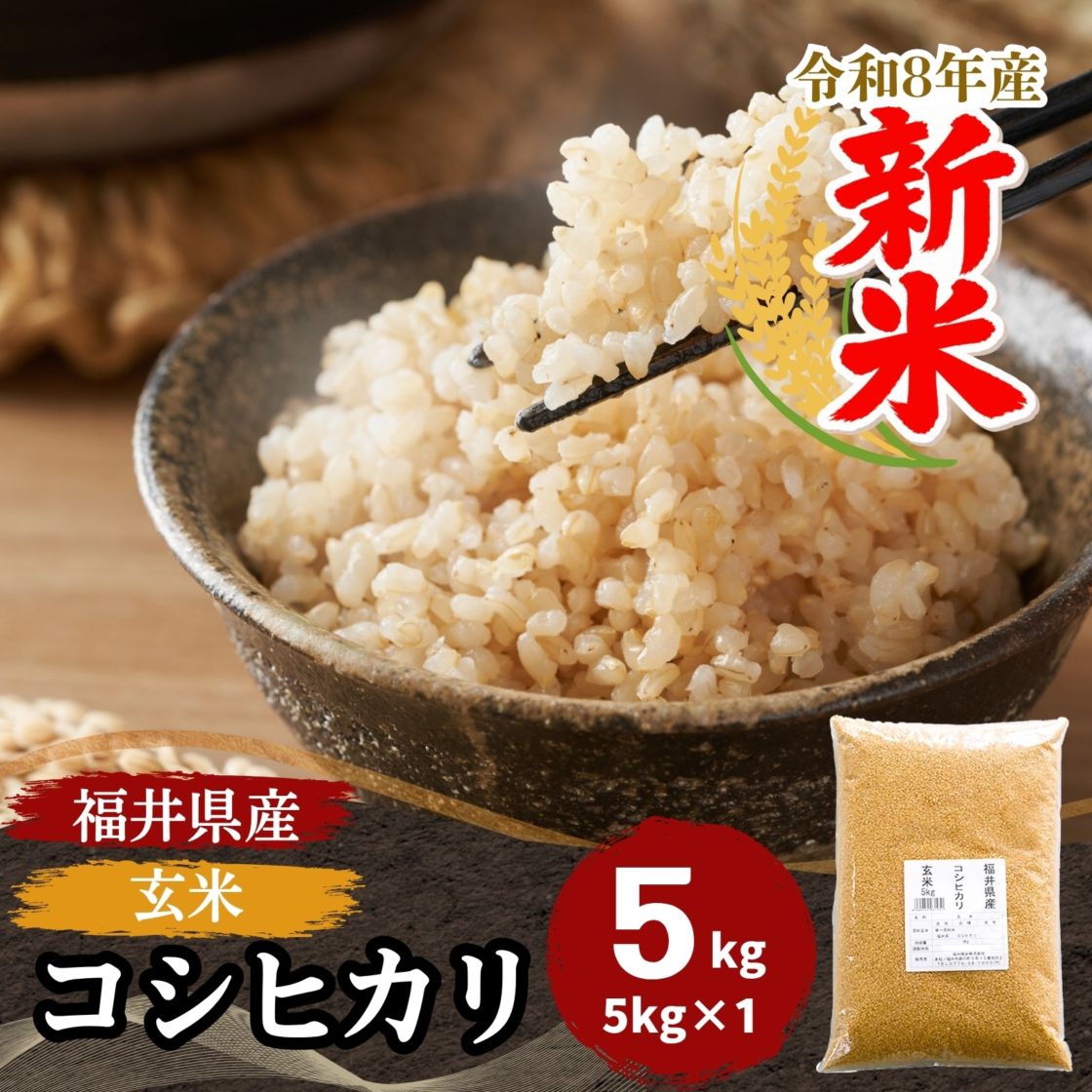 新米 玄米 コシヒカリ 5kg 福井県産 令和8年産｜玄米 |｜最短即日発送