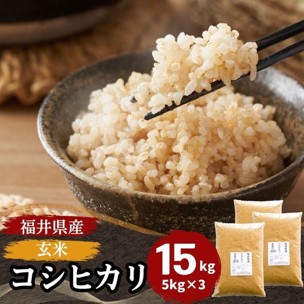 令和7年産コシヒカリ(玄米)④ 玄米 コシヒカリ 20kg(5kg×4) 福井県産 令和7年産｜玄米 |｜最短即日