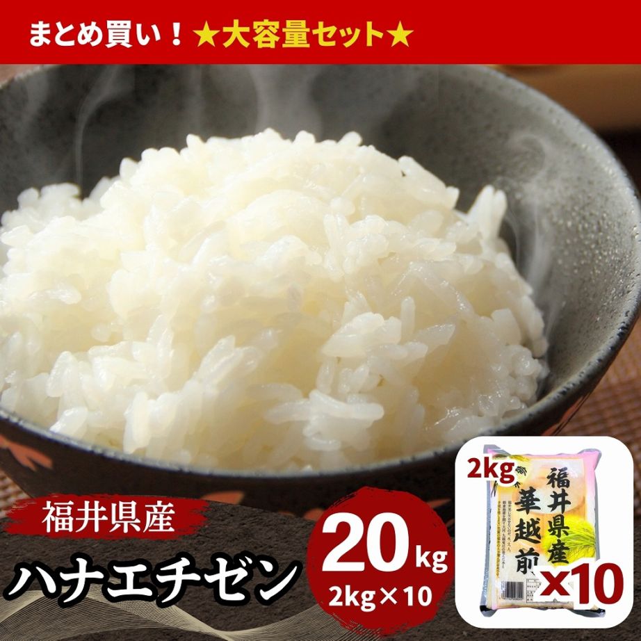 新米 ハナエチゼン 白米 20kg(5kg×4) 福井県産 令和8年産