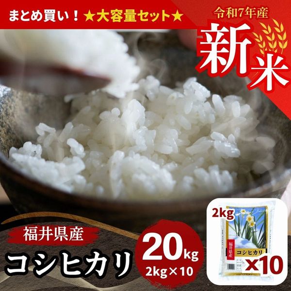 新米 福井県産コシヒカリ 白米 10kg(5kg×2) 令和7年産｜福井県産