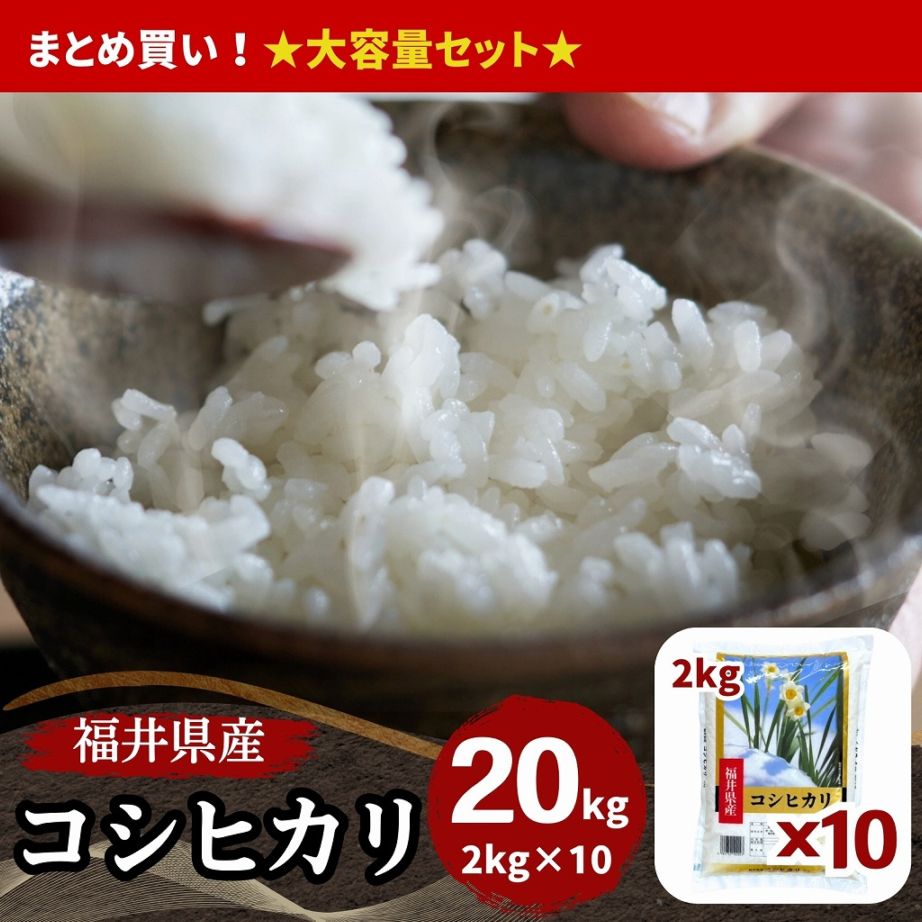 新米 福井県産コシヒカリ 白米 10kg(5kg×2) 令和8年産｜福井県産