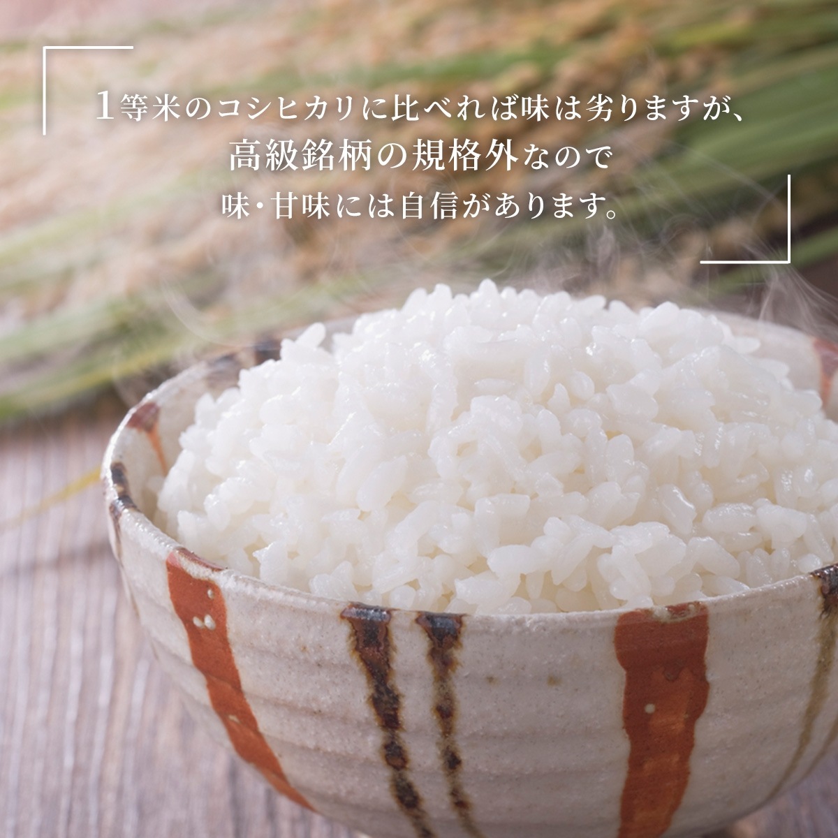  ʡ  30kg(10kg3) ʡ温100֥ 7ǯ