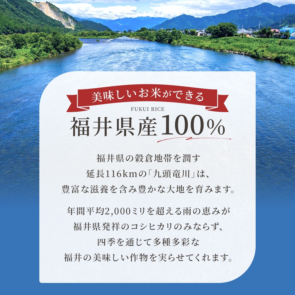 ٻߡʡ  15kg(5kg3) ʡ温100֥ 6ǯ