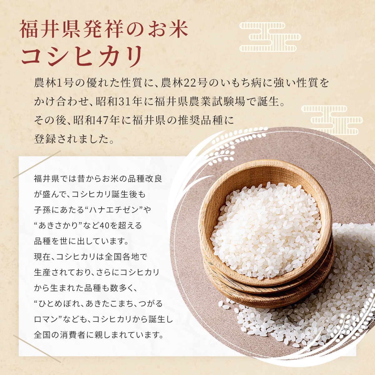 ʡ温ҥ ̵ 20kg(5kg4) 6ǯ