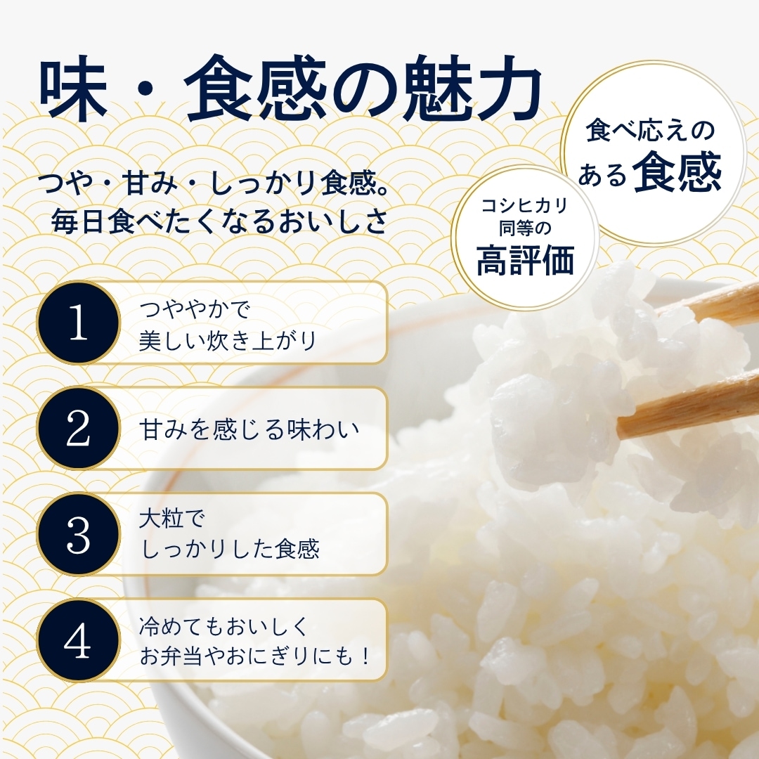 ʡ�温���Ĥ������� ���� 20kg(5kg��4��) ����7ǯ��