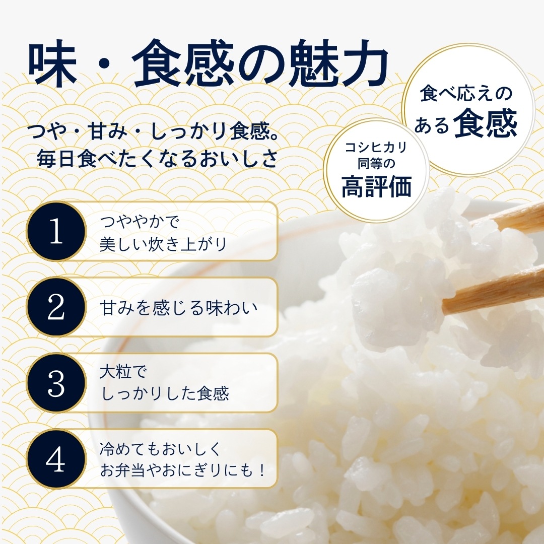 ������ء�ʡ�温���Ĥ������� ���� 15kg(5kg��3��)