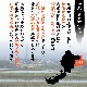 ߥ륭  5kg ʡ温 6ǯ