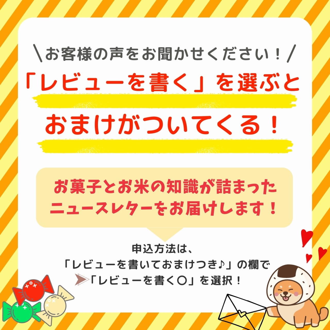 ミルキークイーン 白米 10kg(5kg×2袋) 福井県大野産 令和5年産-お米通販の「福井の米屋」