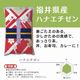 ������ء�ʡ�温��������4�ʼ￩����٥��å�(�����ҥ��ꡦ���������ꡦ�ϥʥ������󡦥ߥ륭����������� ���� 20kg(5kg��4����)